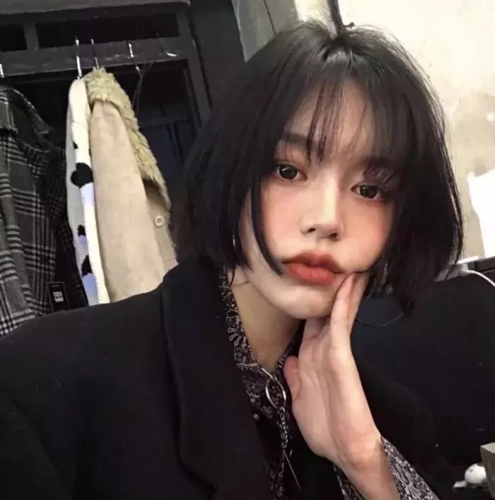 公猫